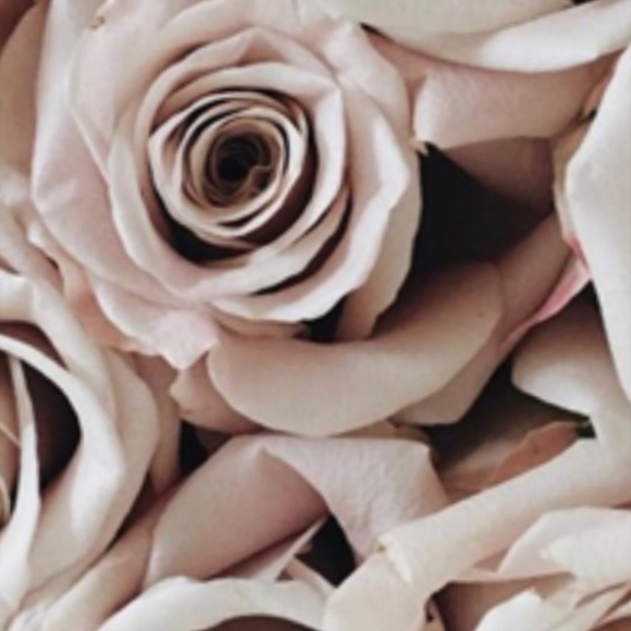 Meet your Posher, Trish - PoshinPassion - Picture 2 of 6